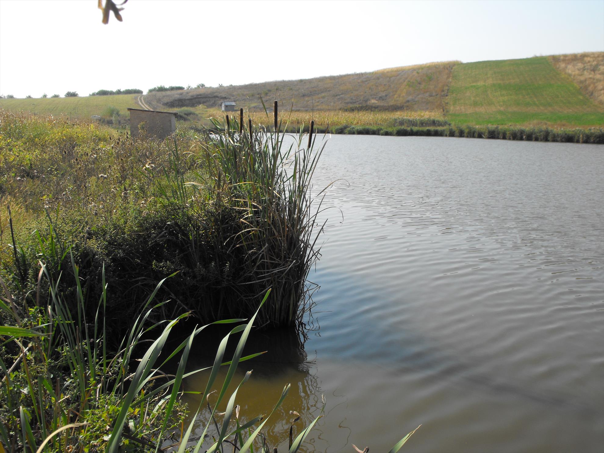 Magura 9, 15.10.2011 - Magura 9